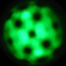 Saubere W-Spitze/U-Variation