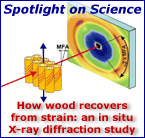 ESRF: Spotlight on Science